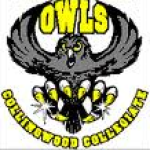 Group logo of CCI Drumline